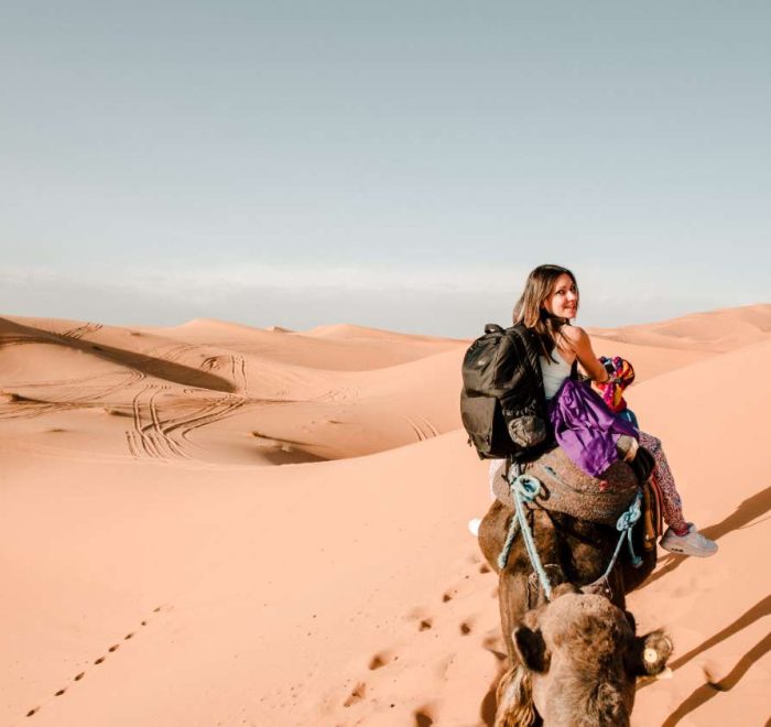 camel marrakech