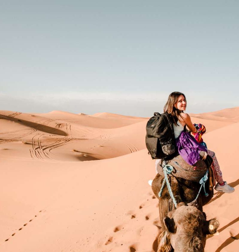 camel marrakech