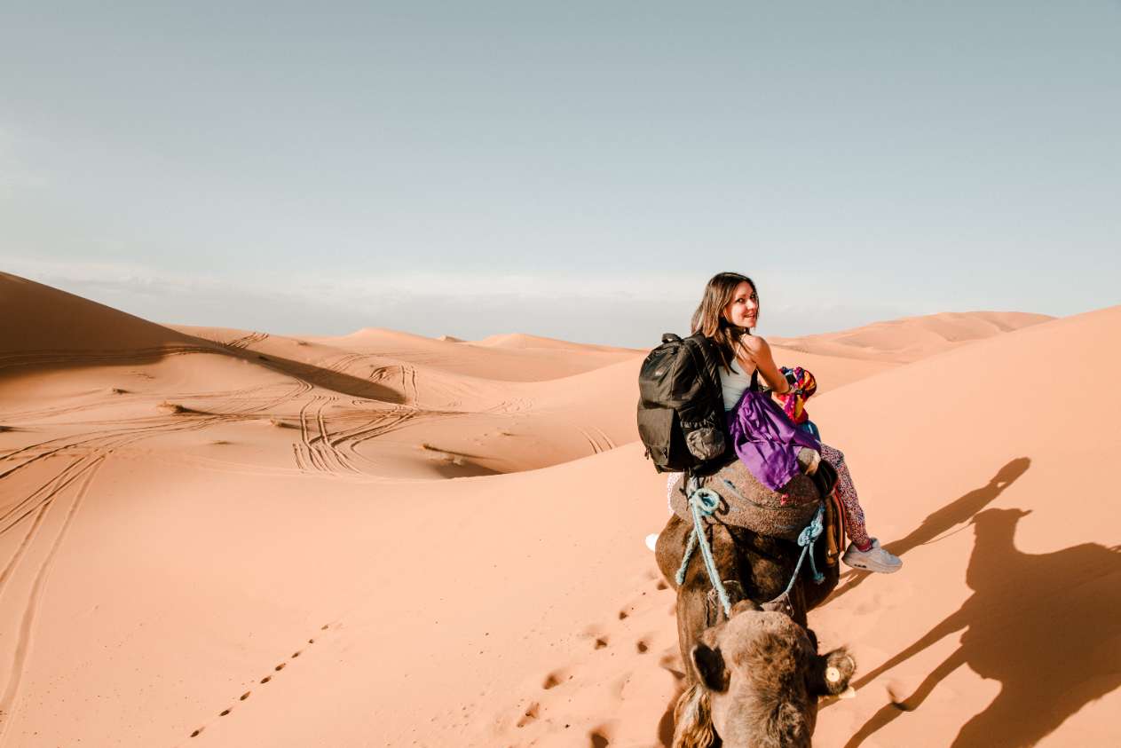 camel marrakech