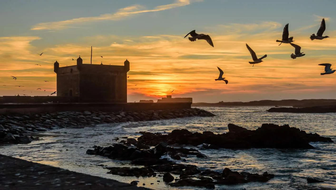 Day Trip to Essaouira from Marrakech 7 7 11zon 7 11zon