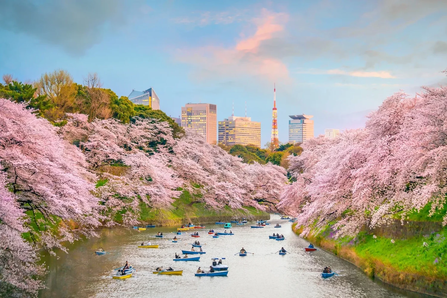 Tokyo Kyoto and Osaka 24 9 11zon