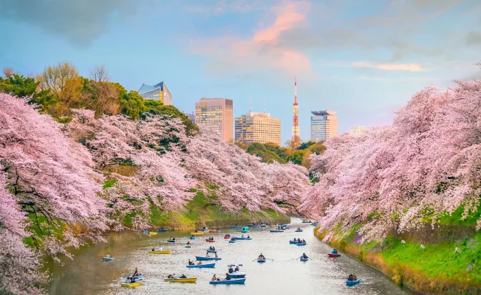 Tokyo Kyoto and Osaka 24 9 11zon