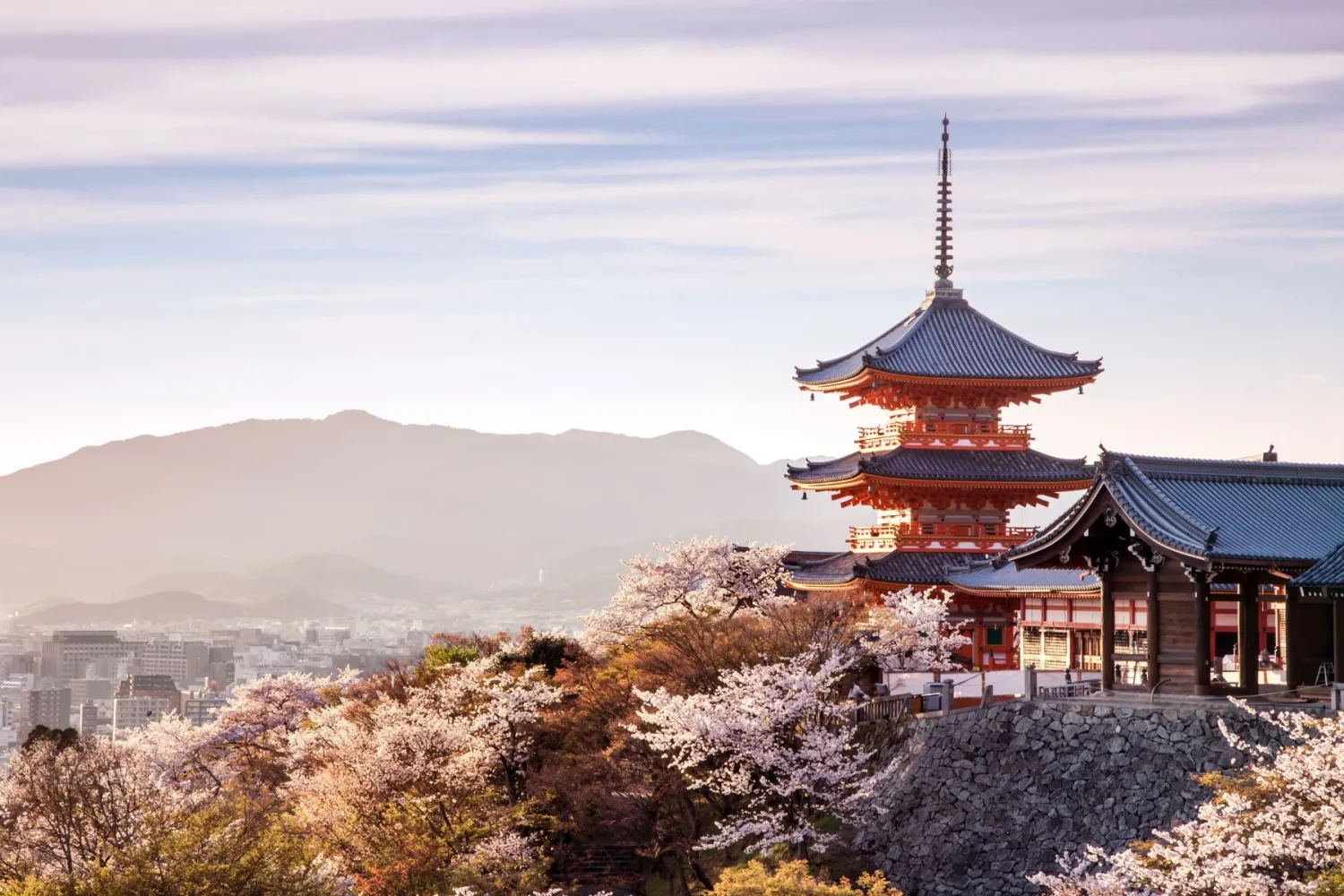 Tokyo Kyoto and Osaka 6 4 11zon